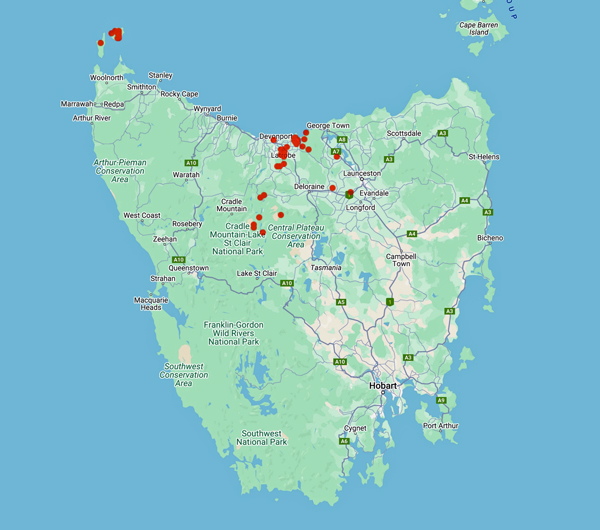 collecting locality map for 'Tonelli, P.'