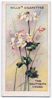 cigarette card front