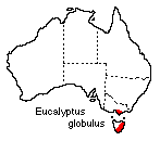 Eucalyptus globulus distribution map