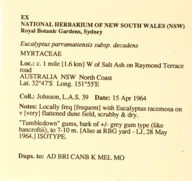 APII jpeg image of Eucalyptus parramattensis subsp. decadens  © contact APII